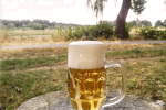 images/schorlehaisel/bier-vom-Fass.png